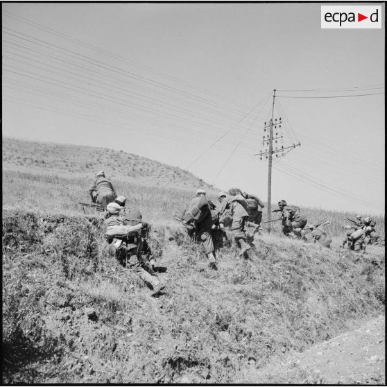 Exercice pour le 5e RCA  (régiment de chasseurs d'Afrique) et le 2e RTA (régiment de tirailleurs algériens) à Yakouren.