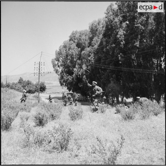 Exercice pour le 5e RCA  (régiment de chasseurs d'Afrique) et le 2e RTA (régiment de tirailleurs algériens) à Yakouren.