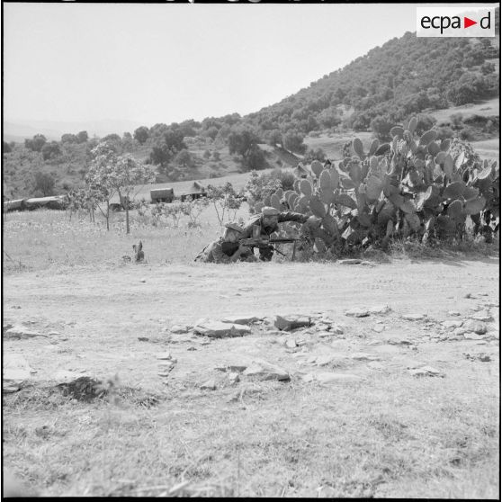 Exercice pour le 5e RCA  (régiment de chasseurs d'Afrique) et le 2e RTA (régiment de tirailleurs algériens) à Yakouren.