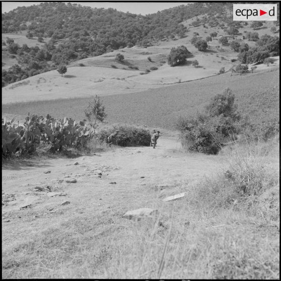 Exercice pour le 5e RCA  (régiment de chasseurs d'Afrique) et le 2e RTA (régiment de tirailleurs algériens) à Yakouren.