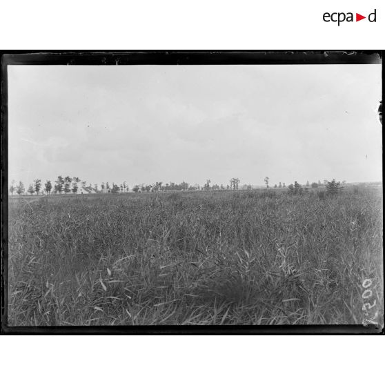 Près de Caeskerke. Vue prise des premières lignes belges sur la région de Dixmude occupée par les allemands. [légende d'origine]