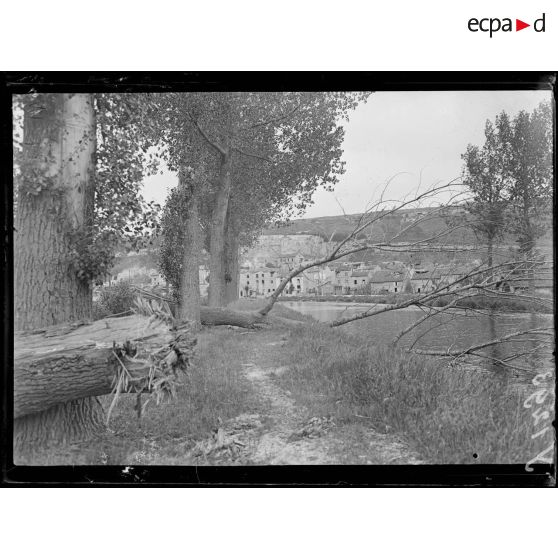 Belleville (Meuse). Arbres fauchés sur le bord du canal. [légende d'origine]