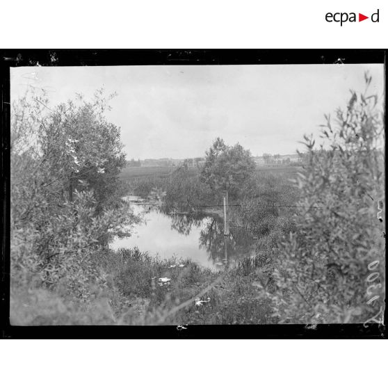 Belleville (Meuse). Un coin de prairie. [légende d'origine]