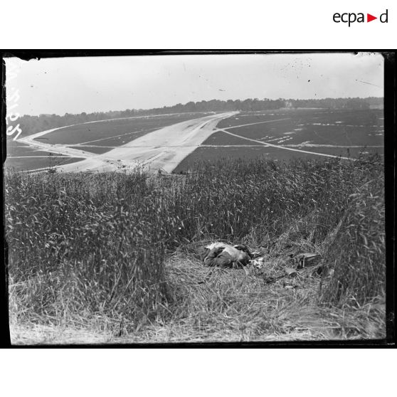 Belloy, cadavre d'un soldat allemand dans un champ. [légende d'origine]