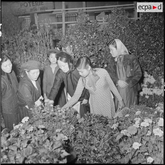 Femmes au marché aux fleurs lors des préparatifs du Têt à Hanoï.