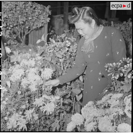 Femme au marché aux fleurs lors des préparatifs du Têt à Hanoï.