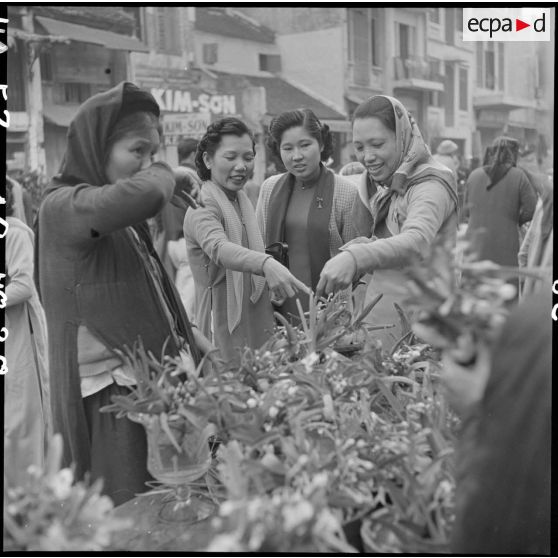 Des femmes choisissent des narcisses pour célébrer le Têt.	