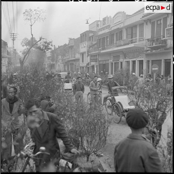 Les fleurs de pêchers prédominent sur le marché aux fleurs lors des préparatifs du Têt.