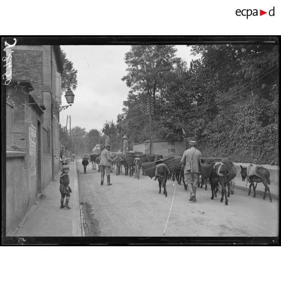 Jonchery (Marne). Anes traversant l’avenue de la gare. [légende d’origine]