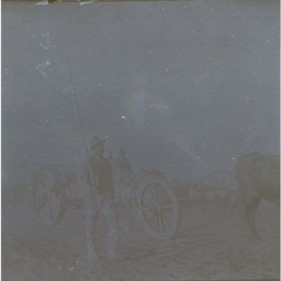 [Mission d'observation du chef de bataillon Albert d'Amade pendant la guerre du Transvaal : un canon long tube tracté par des boeufs].