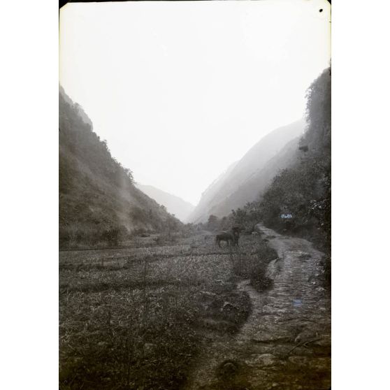 Yunnan méridional. Route de Mong Tze Mang Hao. Gorge à 2 kilomètres au sud de Choui Tien entre Choui Tien et Yo Teou. [légende d'origine]