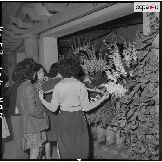 Des femmes achètent des fleurs pour les préparatifs de Noël.