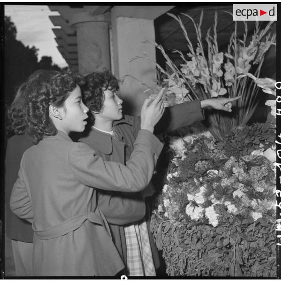 Portrait de jeunes femmes achetant des fleurs pour les préparatifs de Noël.