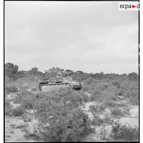 Montée en ligne d'un char léger Renault D1 dans une zone désertique du secteur de Pichon.