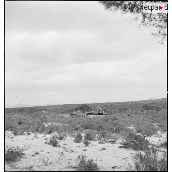 Montée en ligne de chars légers Renault D1 dans une zone désertique du secteur de Pichon.