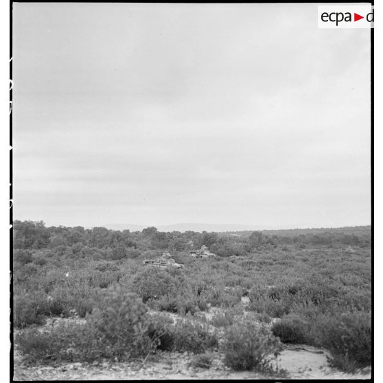 Montée en ligne de chars légers Renault D1 et arrivée sur objectif dans une zone désertique du secteur de Pichon.