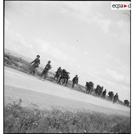 Une colonne hippomobile du 67e RAA (régiment d'artillerie d'Afrique) de la DMC (division de marche de Constantine) monte en ligne dans le secteur d'Ousseltia.