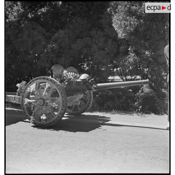 Canon de 47 mm antichar, modèle 1937, monté sur pneumatiques à chambre increvable, du 65e RAA (régiment d'artillerie d'Afrique) sur une route menant à Blida.