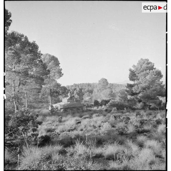 Un char Sherman M4 progresse lors d'une manoeuvre d'l'entraînement dans une région du Sud algérien, en vue de l'engagement de l'unité en Italie au sein du CEF (corps expéditionnaire français).