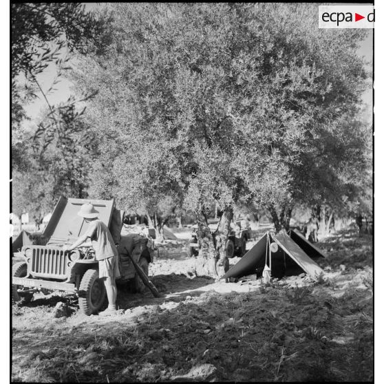 Entretien du moteur d'une jeep Ford GPW dans un cantonnement au cours d'une manoeuvre d'entraînement d'unités du CEF (corps expéditionnaire français) dans le Sud algérien.