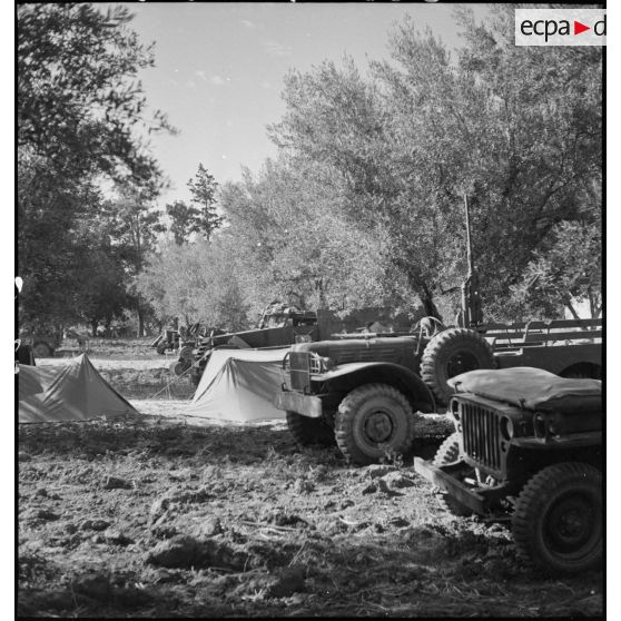 Véhicules (jeep Ford GPW, Dodge T214, scout-car M3A1) du 3e RSAR (régiment de spahis algériens de reconnaissance) dans un campement lors d'une manoeuvre d'entraînemnet du CEF (corps expéditionnaire français) dans le Sud algérien.