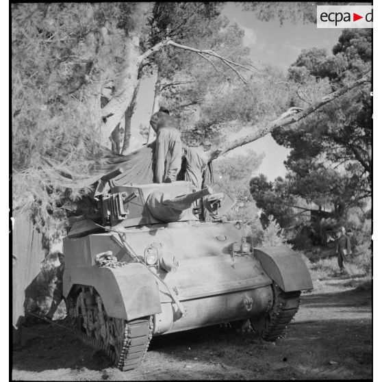 Camouflage d'un char léger Stuart M5A1 du 3e RSAR (régiment de spahis algériens de reconnaissance) dans un cantonnement pendant une manoeuvre du CEF (corps expéditionnaire français).