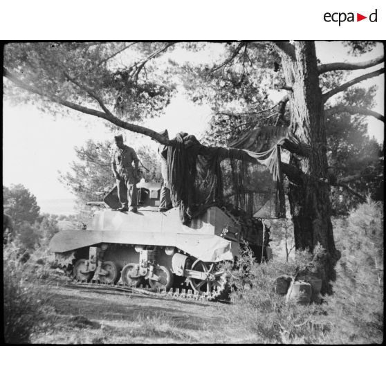 Camouflage d'un char léger Stuart M5A1 du 3e RSAR (régiment de spahis algériens de reconnaissance) dans un cantonnement pendant une manoeuvre du CEF (corps expéditionnaire français).