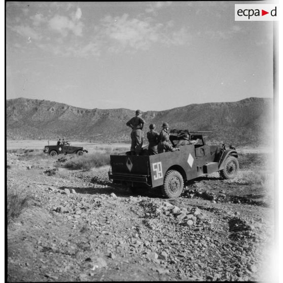 Scout-cars M3A1 du 3e RSAR déployés lors d'une manoeuvre dans la région de Batna.