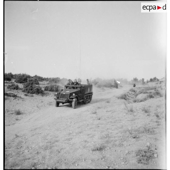 Half-track M3 du 3e RSAR en progression lors d'une manoeuvre dans la région de Batna.