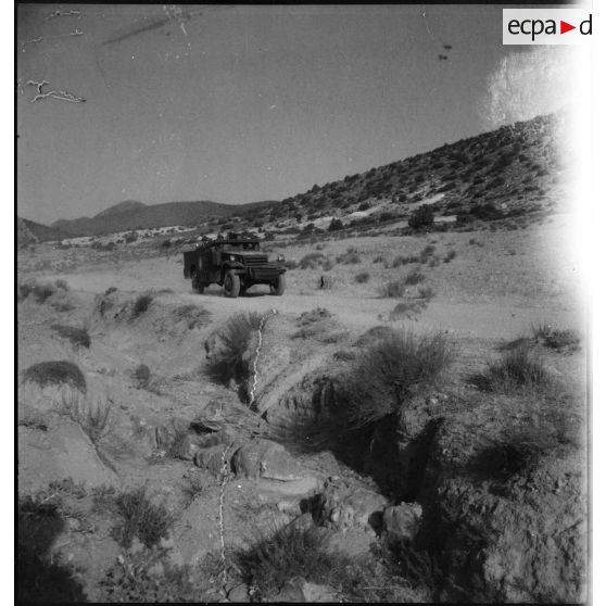 Scout-car M3A1 du 3e RSAR en patrouille de reconnaissance lors d'une manoeuvre dans la région de Batna.