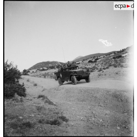 Scout-car M3A1 du 3e RSAR en patrouille de reconnaissance lors d'une manoeuvre dans la région de Batna.