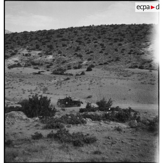 Scout-cars M3A1 du 3e RSAR en patrouille de reconnaissance lors d'une manoeuvre dans la région de Batna.