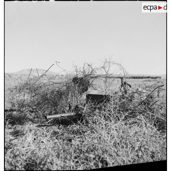 Des servants d'un canon antichar américain de 37 mm sont camouflés dans la végétation pendant que le chef de pièce observe l'objectif avec des jumelles périscopiques.