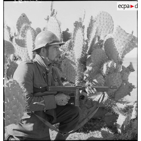 Sergent du 9e RTA (régiment de tirailleurs algériens) de la DMC (Division de marche de Constantine) posté au milieu de cactus et armé d'un pistolet-mitrailleur Thompson M1.