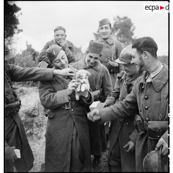 Photographie de groupe de tirailleurs du 7e RTA (régiment de tirailleurs algériens) de la DMC (division de marche de Constantine) dans le campement de l'unité, secteur de Maktar.