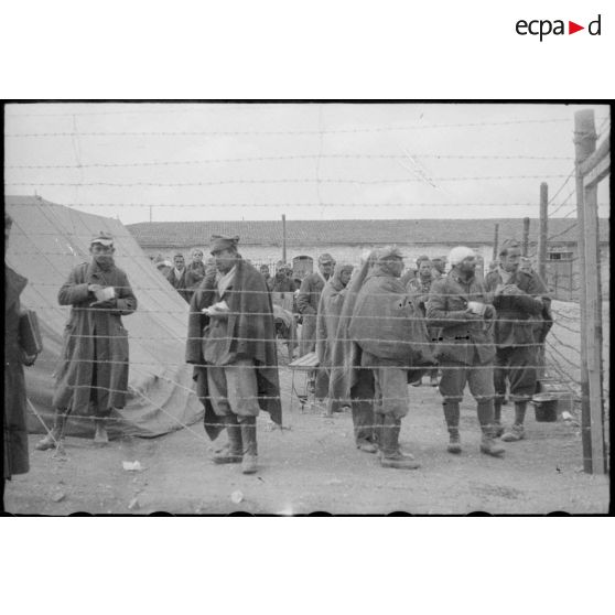 Prisonniers italiens et allemands dans le camp britannique de prisonniers de guerre à Tébessa, à 45 kilomètres à l'est de la frontière algéro-tunisienne.