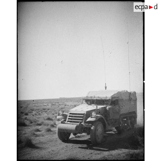 Progression d'un half-track M3 de commandement pendant une manoeuvre d'unités du CEF (corps expéditionnaire français) avant l'engagement sur le front italien.