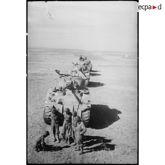 Briefing de chefs de chars Sherman M4 par un chef de peloton pendant une manoeuvre d'unités du CEF (corps expéditionnaire français) avant l'engagement sur le front italien.