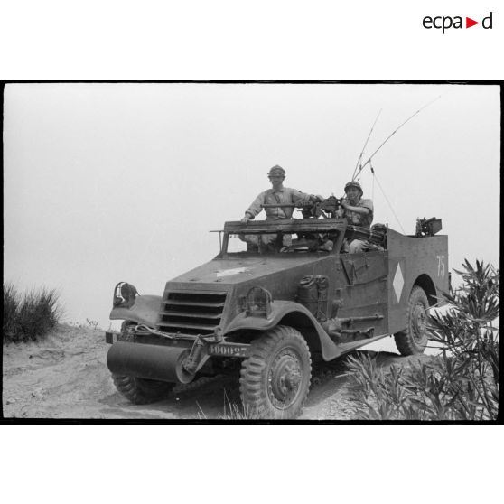 Progression d'un scout-car M3 au cours d'une manoeuvre du CEF (corps expéditionnaire français) en Algérie.