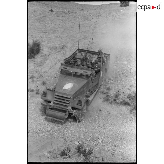 Progression d'un scout-car M3 au cours d'une manoeuvre du CEF (corps expéditionnaire français) en Algérie.