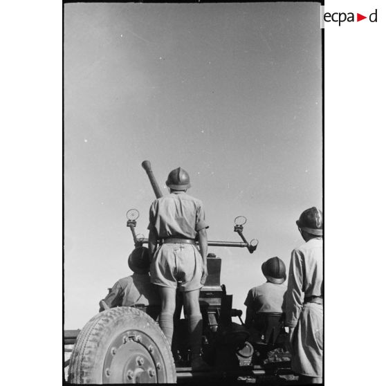 Servants d'un canon Bofors de 40 mm des FTA (forces terrestres antiaériennes) du CEF (corps expéditionnaire français), à leur poste de combat lors d'une manoeuvre.