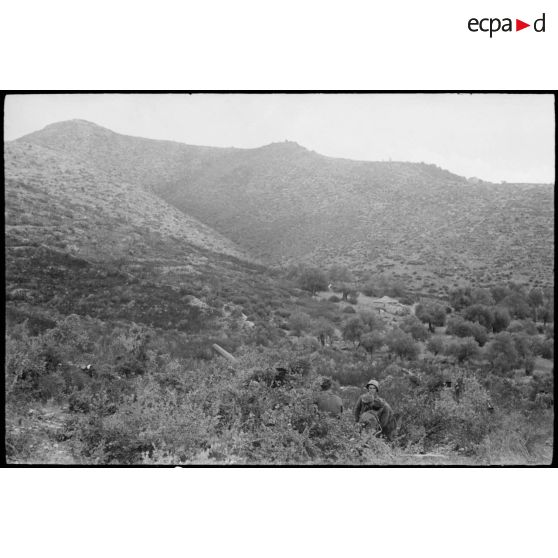 Pièce d'artillerie italienne et ses servants camouflés dans les environs de Saint-Florent.