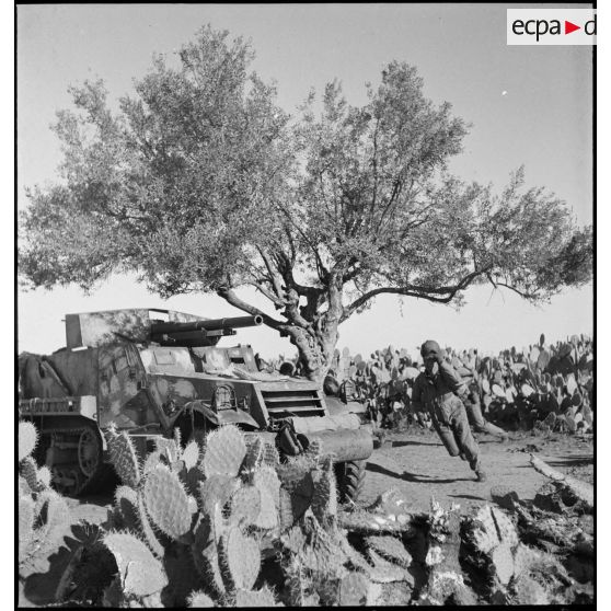 Dans le secteur de Fondouk el-Okbri, des soldats d'un bataillon de chasseurs de chars de la 1re DB (division blindée) du 2e CA (corps d'armée) américain, courent vers leur canon automoteur M3 GMC, canon de 75 mm monté sur châssis d'half-track M3.