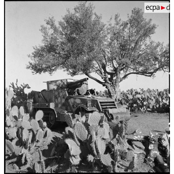 Dans le secteur de Fondouk el-Okbri, un automoteur M3 GMC, canon de 75 mm monté sur châssis d'half-track M3 d'un bataillon de chasseurs de chars de la 1re DB (division blindée) du 2e CA (corps d'armée) américain.