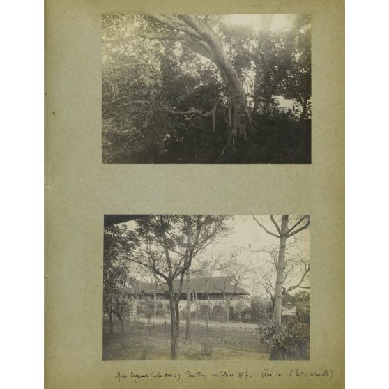 Album Imbert Tonkin [(1) double format], page 19.