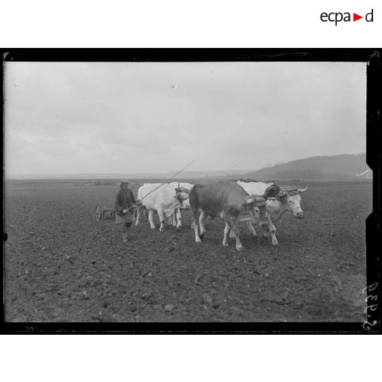 Environs de Clermont (Oise). Travaux de labour. [légende d'origine]