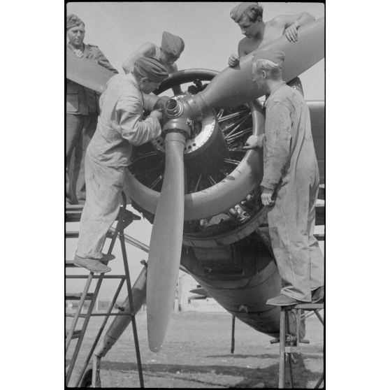 Sur l'aérodrome de Valence-Chabeuil (Drôme), le personnel au sol du Luftlandegeschwader 1 vérifie un Henschel Hs-126 avion une mission.