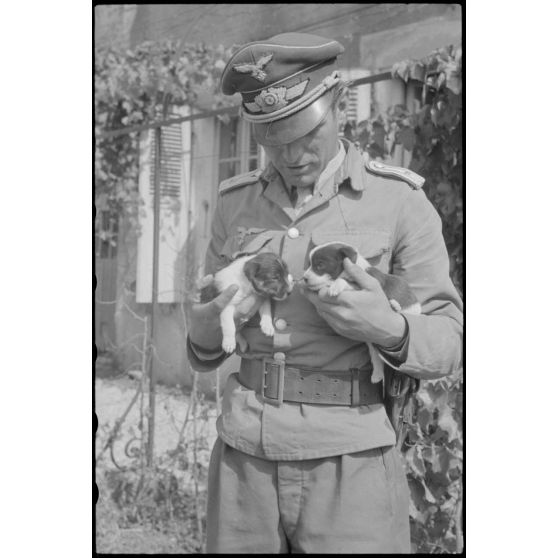 Sur l'aérodrome de Valence-Chabeuil (Drôme), un officier de la 1re escadre aéroportée (Luftlandegeschwader 1) en compagnie de deux chiots.