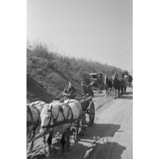 Un convoi hippomobile allemand croise les carcasses de véhicules de l'Armée rouge détruits.