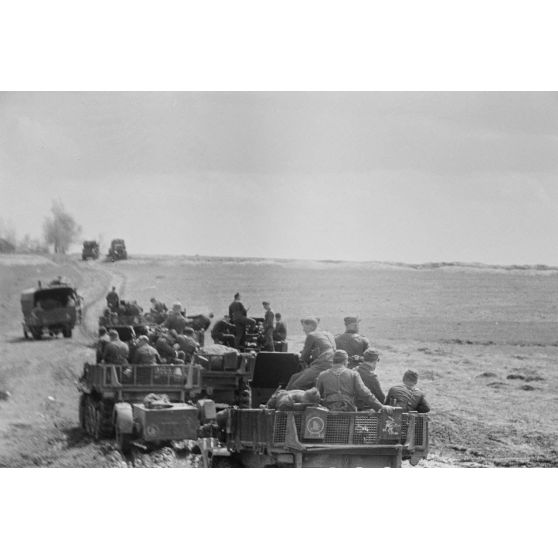 Une colonne de semi-chenillés Sd.kfz.10/5 FlaK 38 du Leichte Flak Abteilung 71 (11.Panzer-Division).